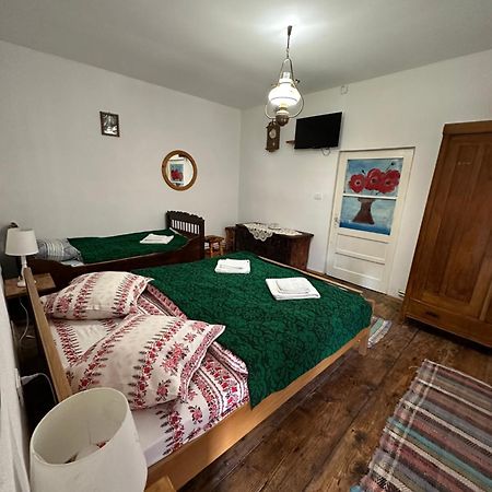 Penzion Casa Pe Valea Hartibaciului Barcut Exteriér fotografie