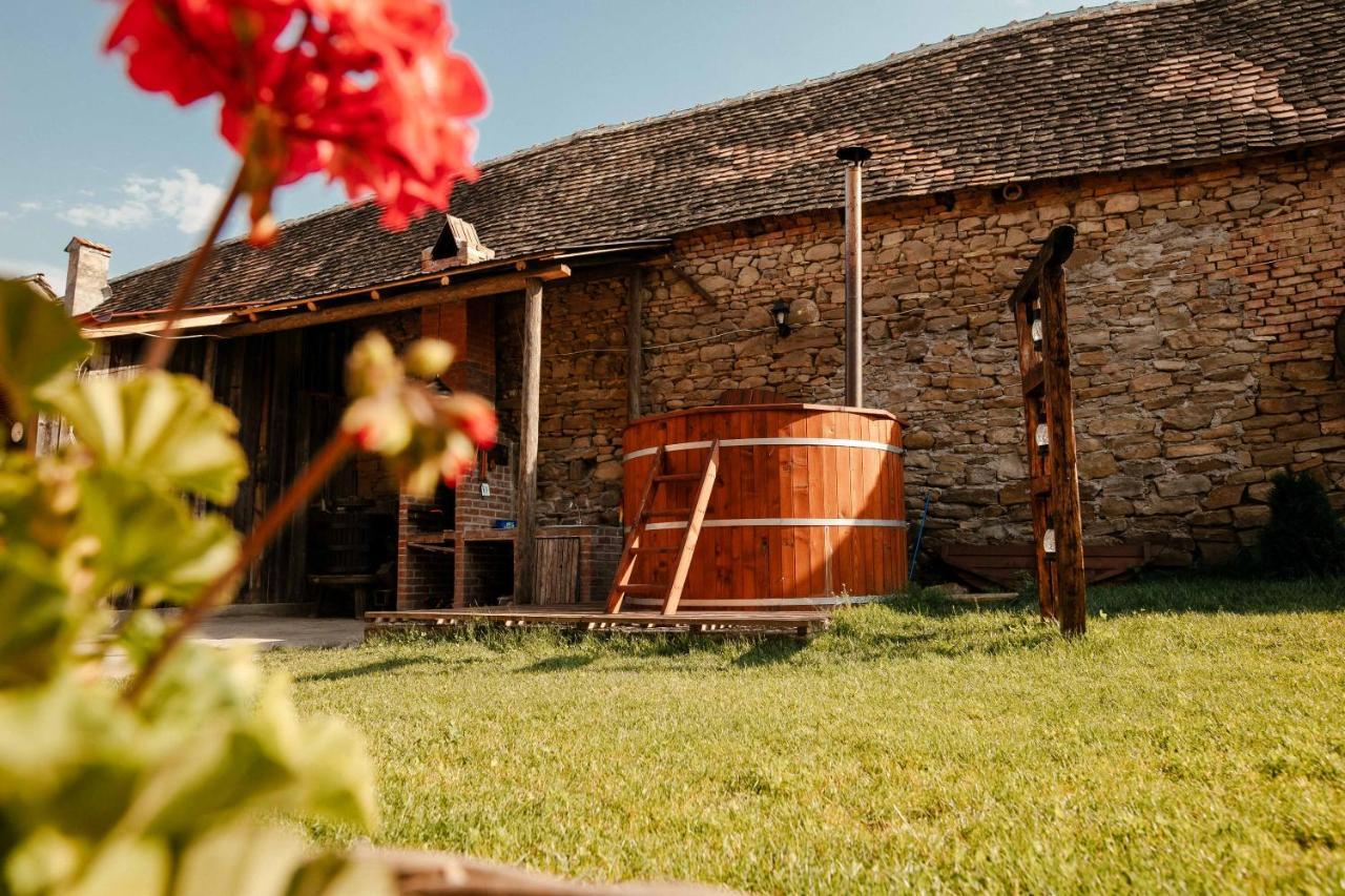 Penzion Casa Pe Valea Hartibaciului Barcut Exteriér fotografie