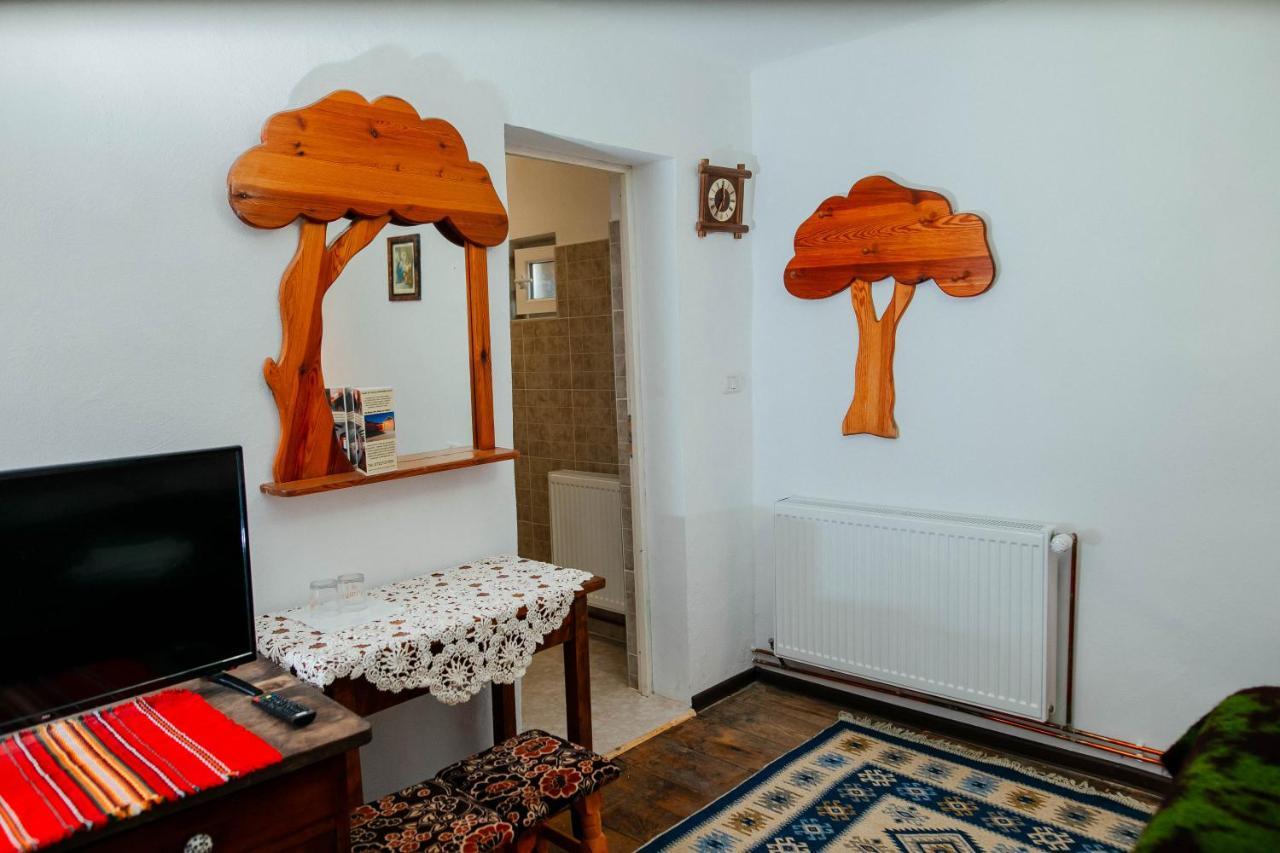 Penzion Casa Pe Valea Hartibaciului Barcut Exteriér fotografie