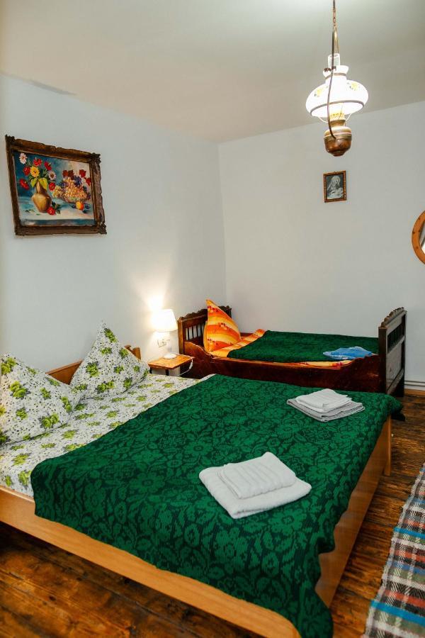 Penzion Casa Pe Valea Hartibaciului Barcut Exteriér fotografie