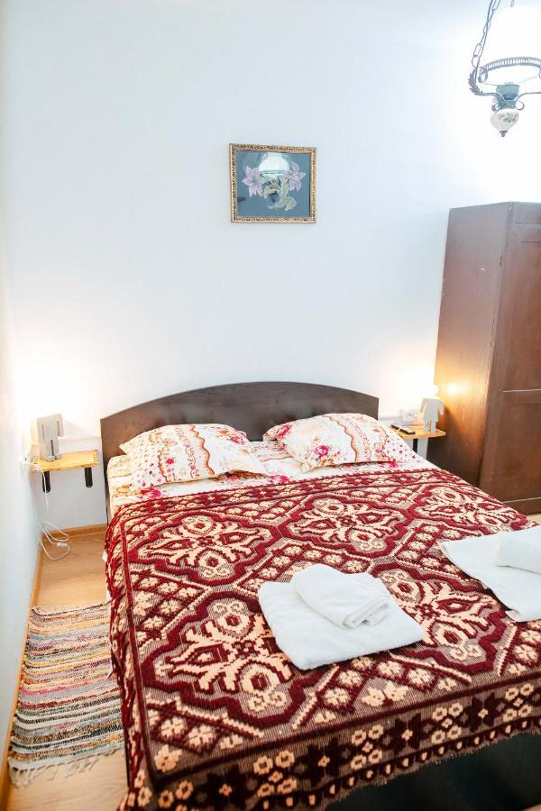 Penzion Casa Pe Valea Hartibaciului Barcut Exteriér fotografie