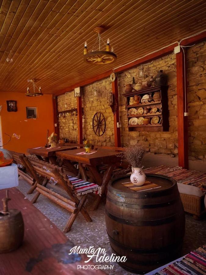Penzion Casa Pe Valea Hartibaciului Barcut Exteriér fotografie