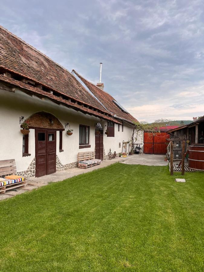 Penzion Casa Pe Valea Hartibaciului Barcut Exteriér fotografie