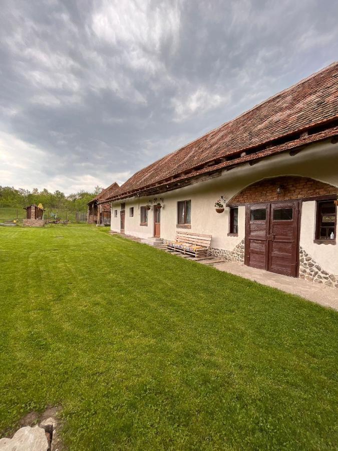 Penzion Casa Pe Valea Hartibaciului Barcut Exteriér fotografie