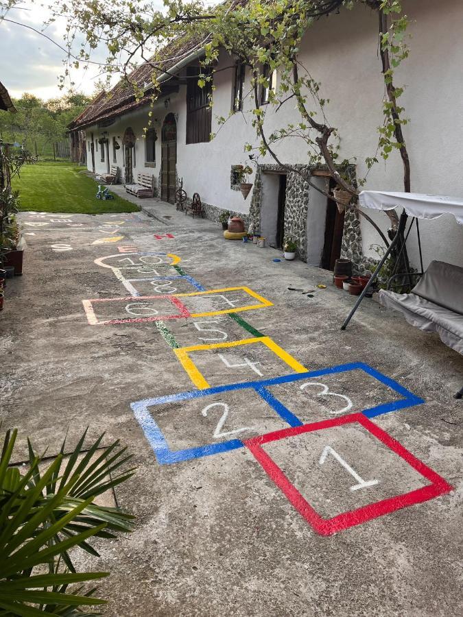 Penzion Casa Pe Valea Hartibaciului Barcut Exteriér fotografie
