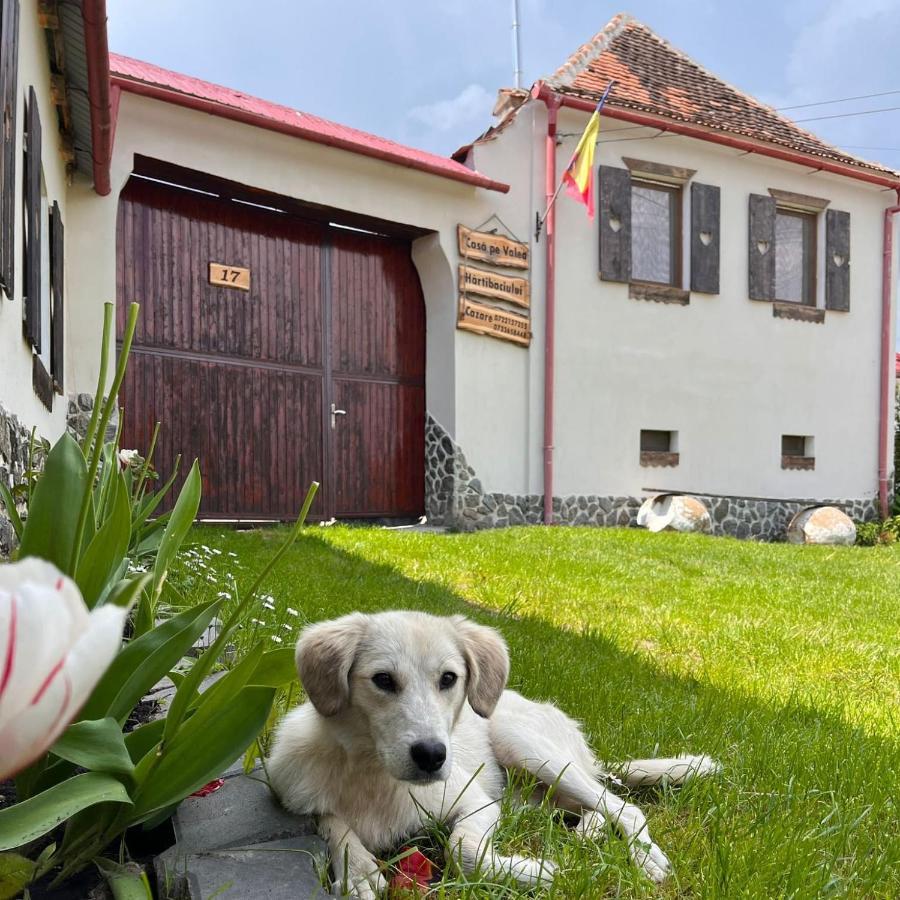 Penzion Casa Pe Valea Hartibaciului Barcut Exteriér fotografie