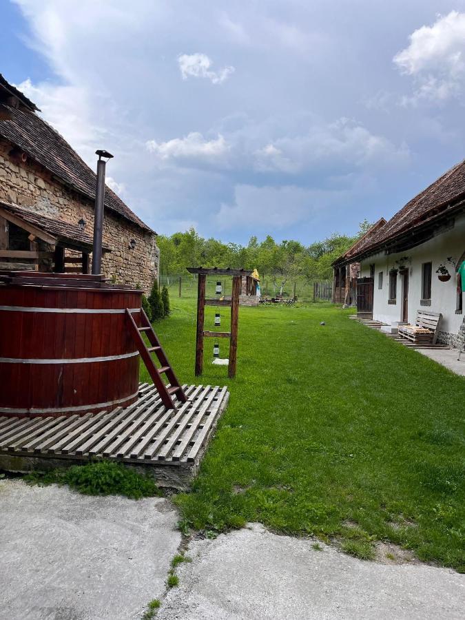 Penzion Casa Pe Valea Hartibaciului Barcut Exteriér fotografie