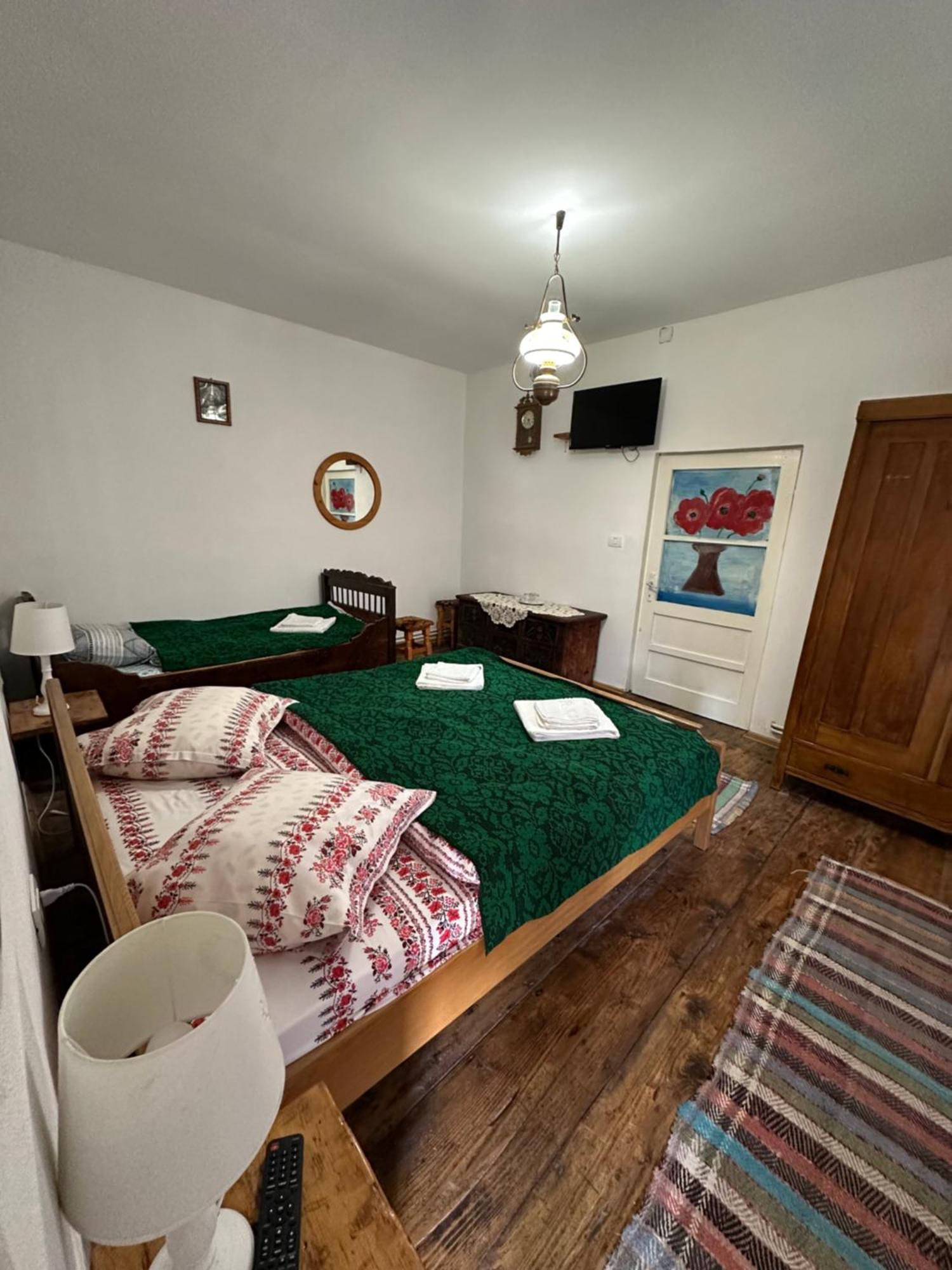 Penzion Casa Pe Valea Hartibaciului Barcut Exteriér fotografie